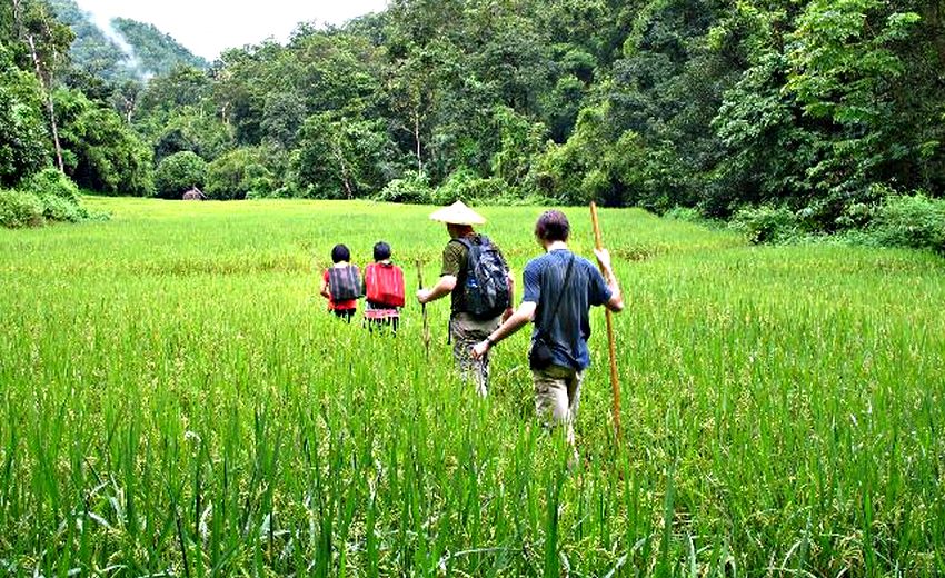 huai goong rice field
