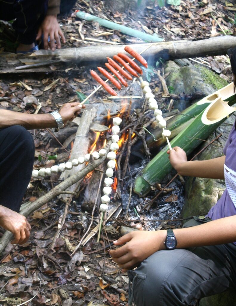 picnic grill