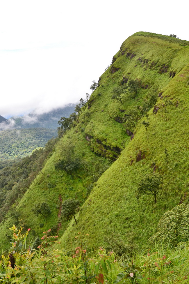 cliff doi pui
